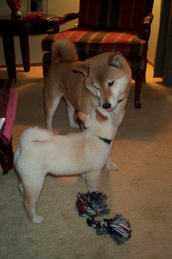 开云体育app-东决关键战之夜，金靴浴火，乔治成就里程碑