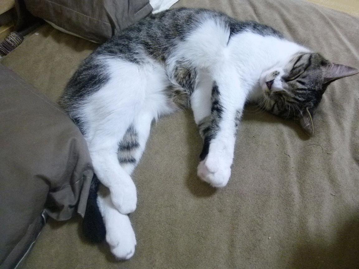 魔术师保罗扼住北京喉咙 骑士一波流打出完美悬念终章