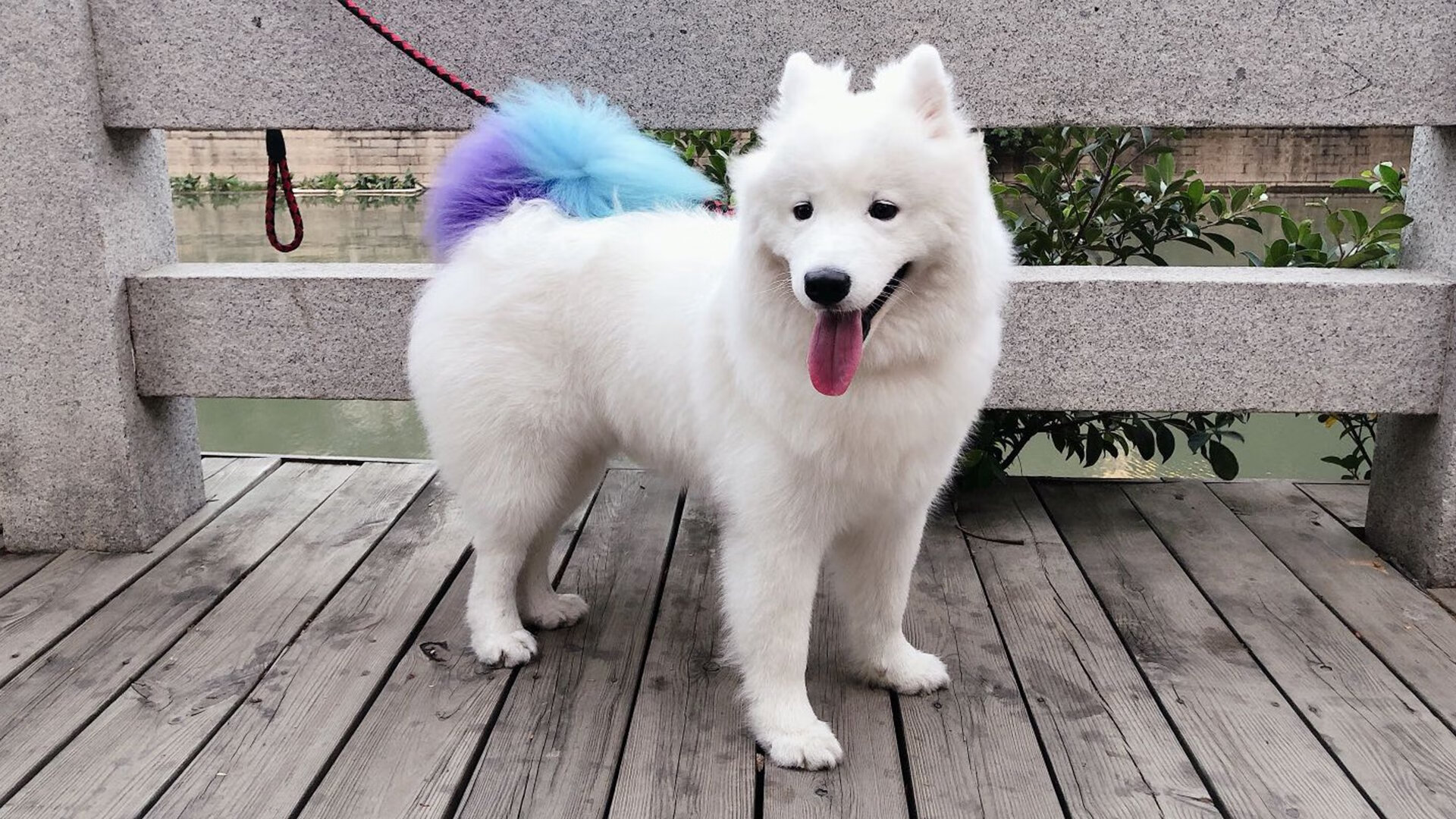 唯一夜晚，世界杯拒绝加冕的硬仗之王