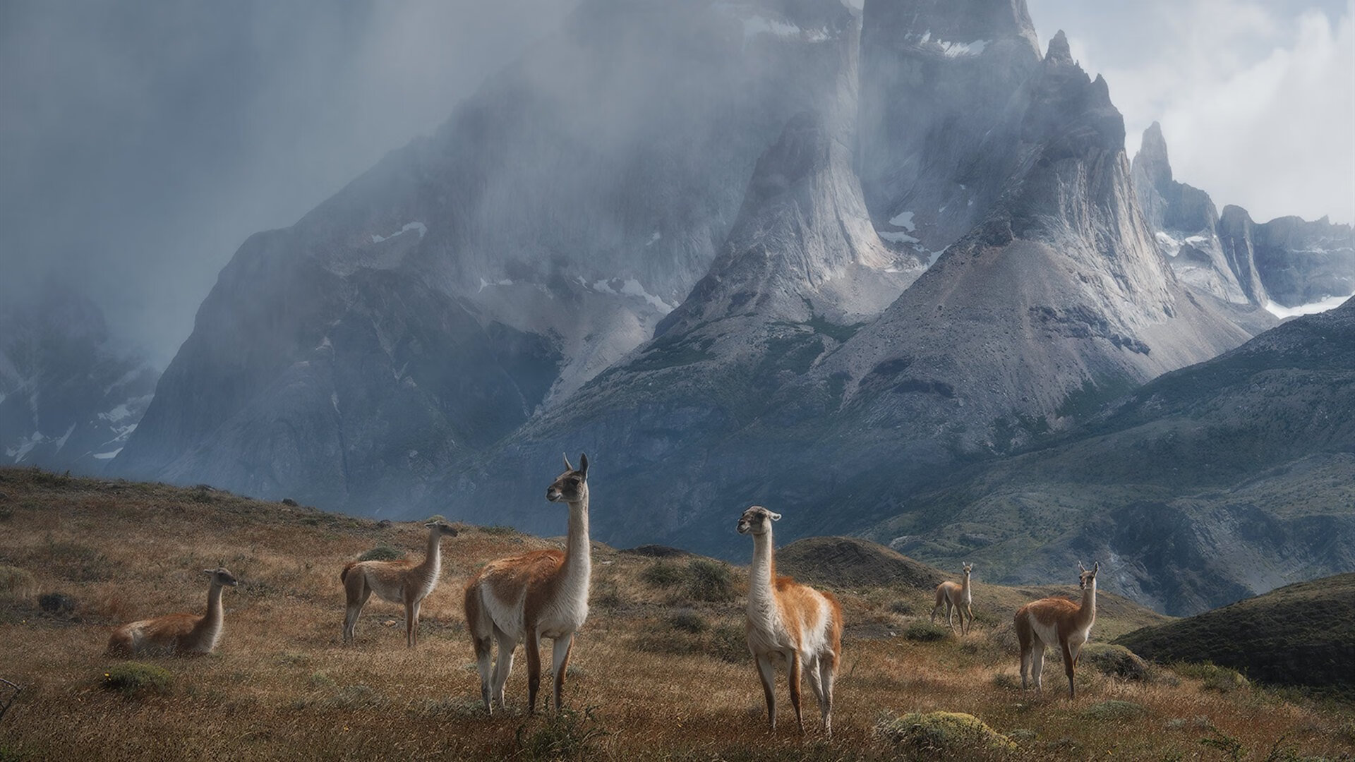 森林狼轻取勇士序幕，文班亚马抢七夜终成王者