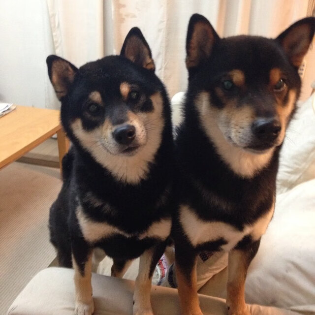 乔治生涯之夜狂飙38分，太阳主场力克广厦的连锁反应