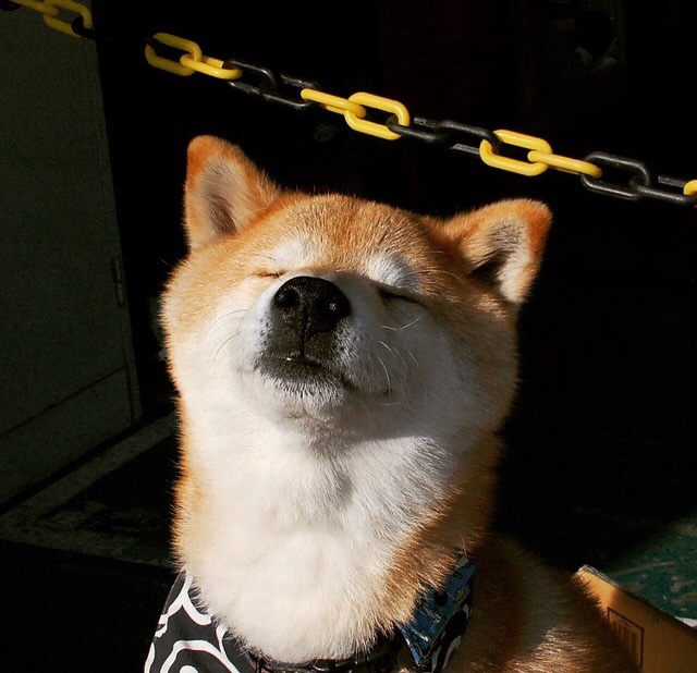 两小时征服百年，当欧冠半决赛的切尔西车轮碾过威尔士足球千年孤傲