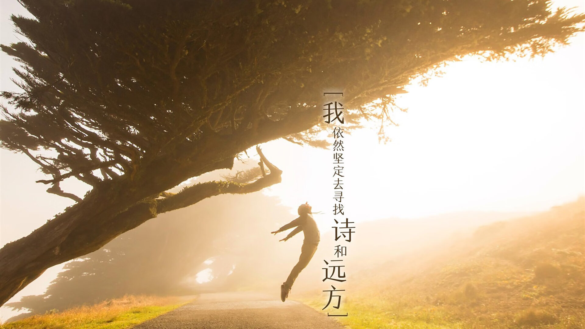 诸神之战,2026世界杯半决赛,法兰西铁骑踏破摩洛哥奇迹,福登加冕新王