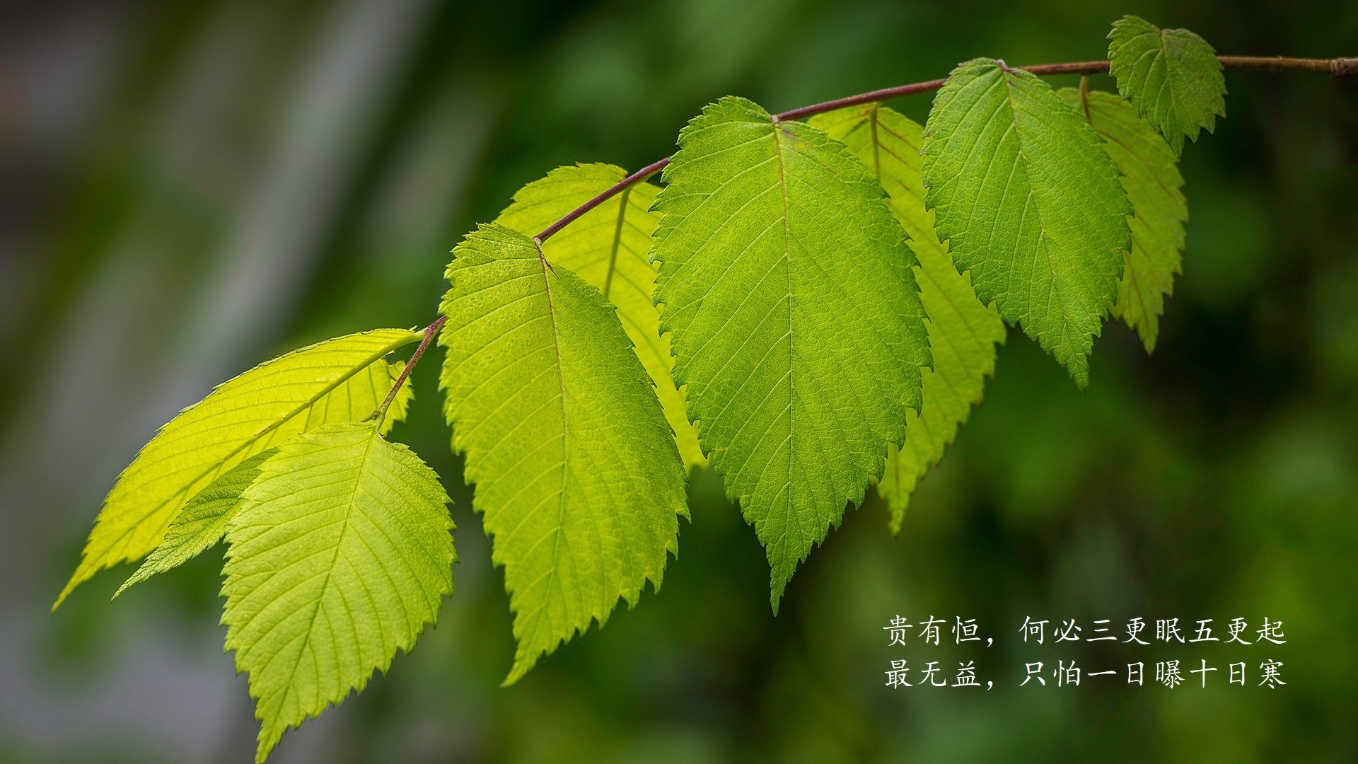 充满戏剧性,让我为你打造一篇独一无二的文章