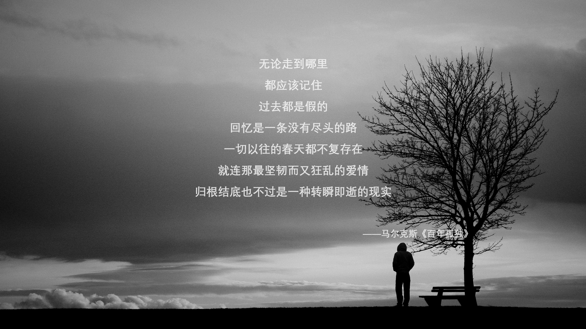 星条旗的逆旅,2026,德容的沉默风暴与喀麦隆的黄昏