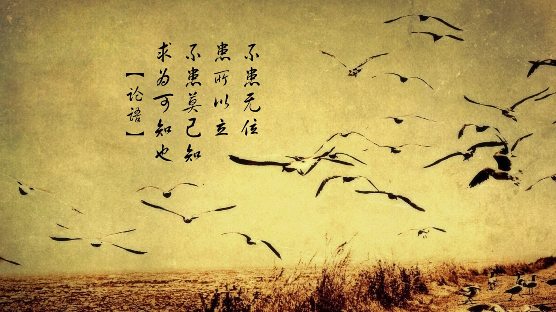绝境中的绿茵英雄,德容用30秒改写G组命运,德国队压哨绝杀厄瓜多尔