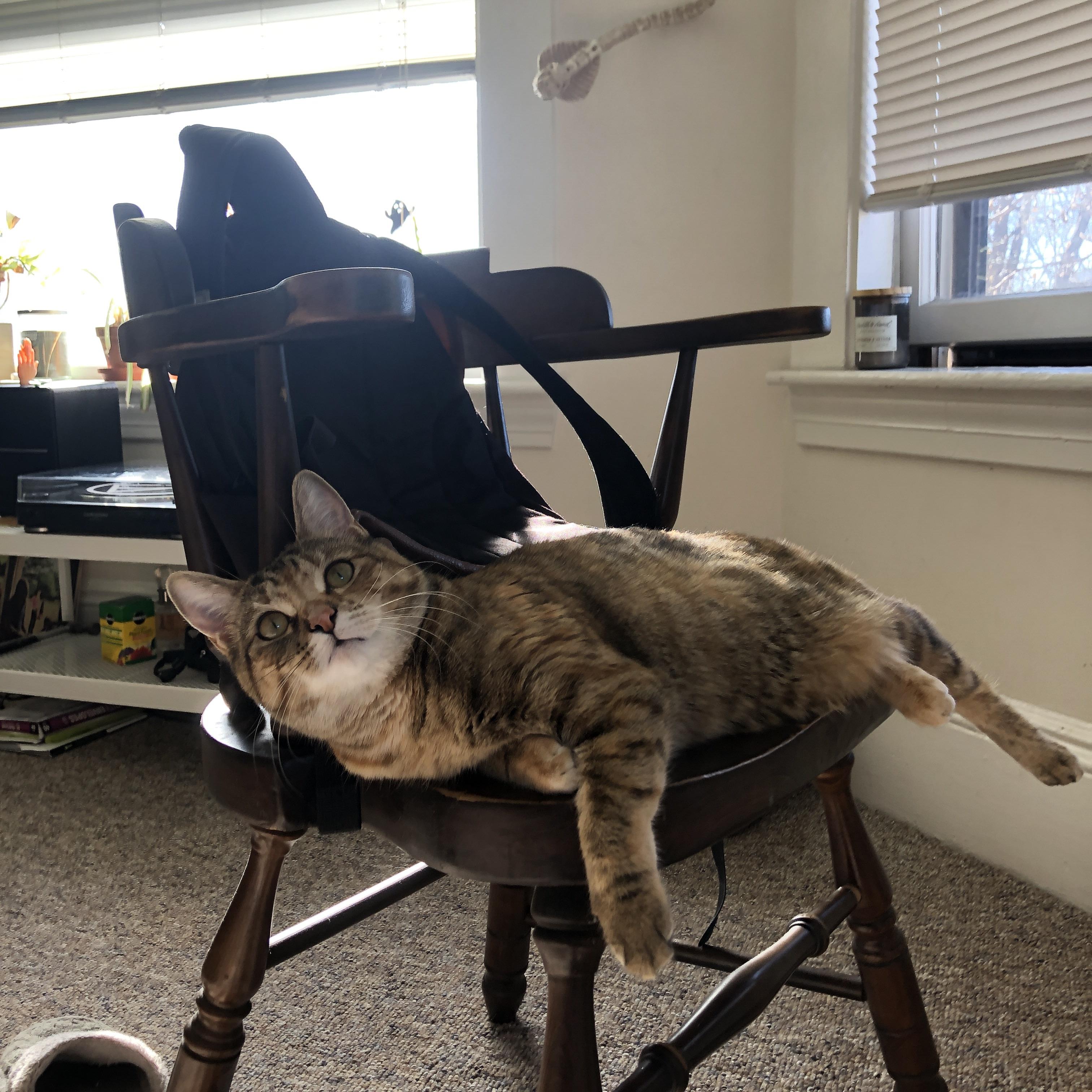 太极虎的猎杀时刻,2026世界杯H组,韩国用最极致的防守反击,让意大利的文艺复兴戛然而止